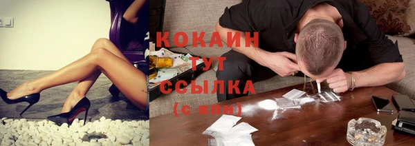 spice Алексин