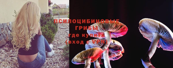 индика Алексеевка