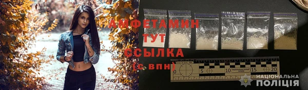 ПСИЛОЦИБИНОВЫЕ ГРИБЫ Алзамай