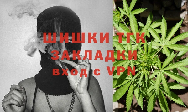 ПСИЛОЦИБИНОВЫЕ ГРИБЫ Алзамай