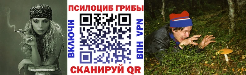 Галлюциногенные грибы MAGIC MUSHROOMS  Пермь 